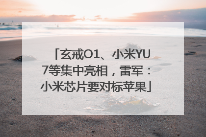 玄戒O1、小米YU7等集中亮相，雷军：小米芯片要对标苹果