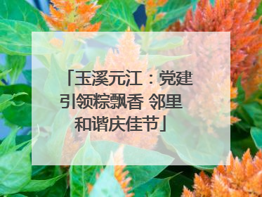 玉溪元江：党建引领粽飘香 邻里和谐庆佳节
