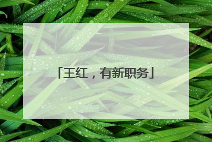 王红，有新职务