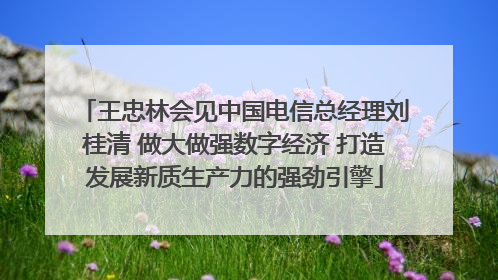 王忠林会见中国电信总经理刘桂清 做大做强数字经济 打造发展新质生产力的强劲引擎