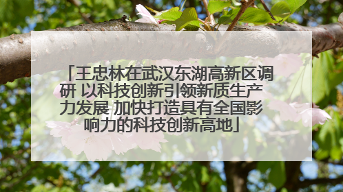 王忠林在武汉东湖高新区调研 以科技创新引领新质生产力发展 加快打造具有全国影响力的科技创新高地