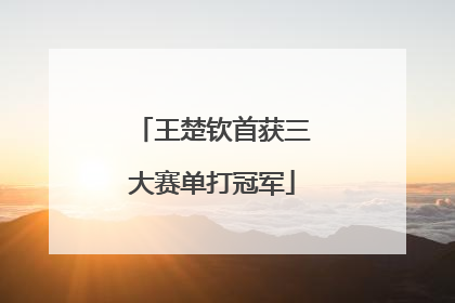 王楚钦首获三大赛单打冠军