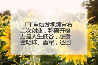 王自如发视频宣布二次创业，称离开格力是人生低谷，感谢董明珠、雷军，还回应了“工资条”：清楚自己要什么……