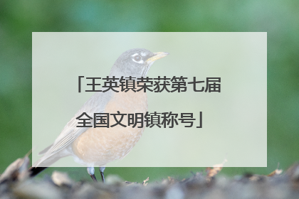 王英镇荣获第七届全国文明镇称号