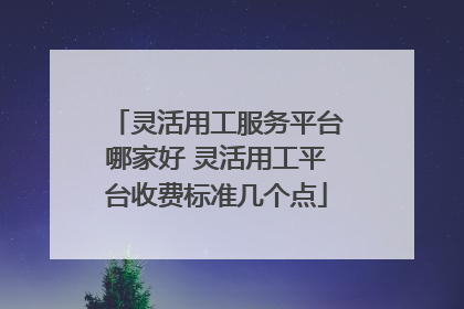 灵活用工服务平台哪家好 灵活用工平台收费标准几个点
