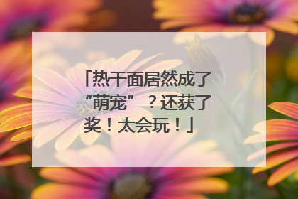 热干面居然成了“萌宠”？还获了奖！太会玩！