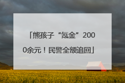 熊孩子“氪金”2000余元！民警全额追回