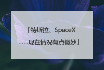 特斯拉、SpaceX……现在情况有点微妙