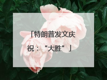 特朗普发文庆祝：“大胜”