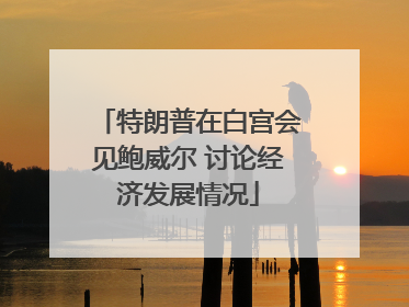 特朗普在白宫会见鲍威尔 讨论经济发展情况