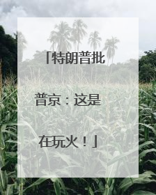 特朗普批普京：这是在玩火！