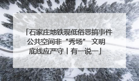石家庄地铁现低俗恶搞事件 公共空间非“秀场” 文明底线应严守丨有一说一