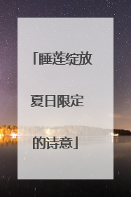 睡莲绽放 夏日限定的诗意