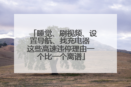 睡觉、刷视频、设置导航、找充电器 这些高速违停理由一个比一个离谱