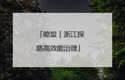 瞭望｜浙江探路高效能治理