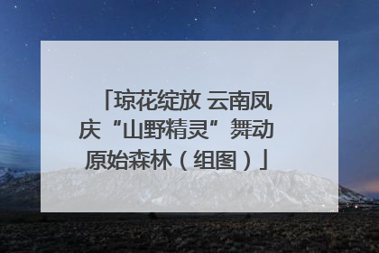 琼花绽放 云南凤庆“山野精灵”舞动原始森林（组图）