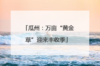 瓜州：万亩“黄金草”迎来丰收季
