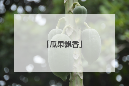 瓜果飘香