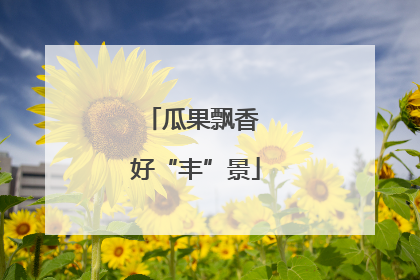 瓜果飘香 好“丰”景