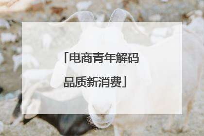 电商青年解码品质新消费