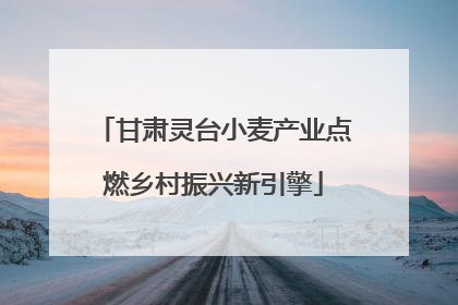 甘肃灵台小麦产业点燃乡村振兴新引擎