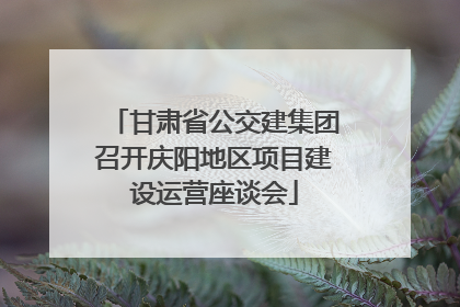 甘肃省公交建集团召开庆阳地区项目建设运营座谈会