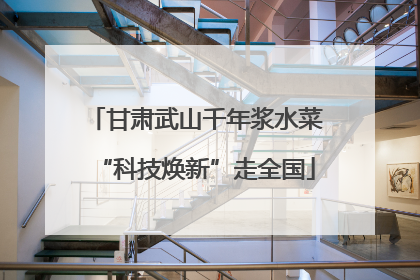 甘肃武山千年浆水菜“科技焕新”走全国