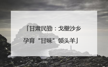 甘肃民勤：戈壁沙乡孕育“甘味”领头羊