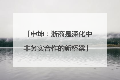 申坤：浙商是深化中非务实合作的新桥梁