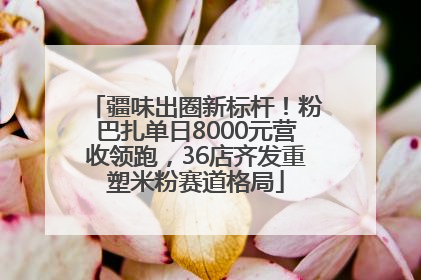 疆味出圈新标杆！粉巴扎单日8000元营收领跑，36店齐发重塑米粉赛道格局