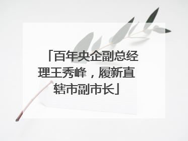 百年央企副总经理王秀峰，履新直辖市副市长