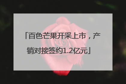 百色芒果开采上市，产销对接签约1.2亿元