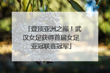 登顶亚洲之巅！武汉女足获得首届女足亚冠联赛冠军