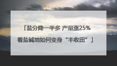 盐分降一半多 产量涨25% 看盐碱地如何变身“丰收田”