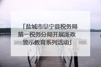 盐城市阜宁县税务局第一税务分局开展廉政警示教育系列活动