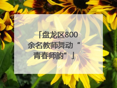 盘龙区800余名教师舞动“青春师韵”