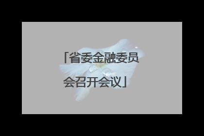省委金融委员会召开会议