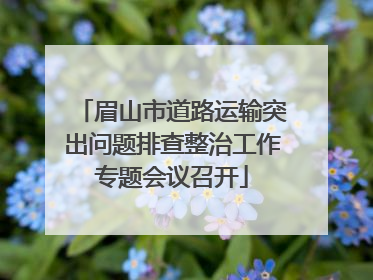 眉山市道路运输突出问题排查整治工作专题会议召开