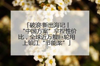 破浪·新出海记丨 “中国方案”拿捏性价比，全球近万艘巨轮用上镇江“节能桨”