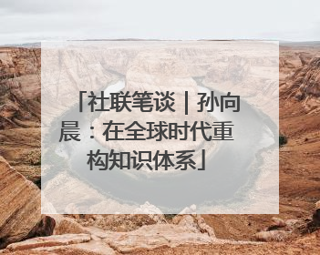 社联笔谈｜孙向晨：在全球时代重构知识体系