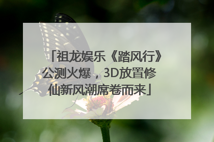 祖龙娱乐《踏风行》公测火爆，3D放置修仙新风潮席卷而来