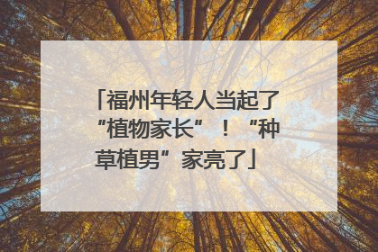 福州年轻人当起了“植物家长”！“种草植男”家亮了