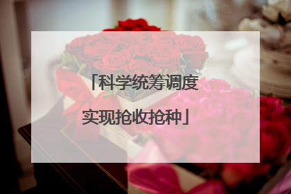 科学统筹调度实现抢收抢种