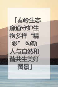 秦岭生态廊道守护生物多样“精彩” 勾勒人与自然和谐共生美好图景