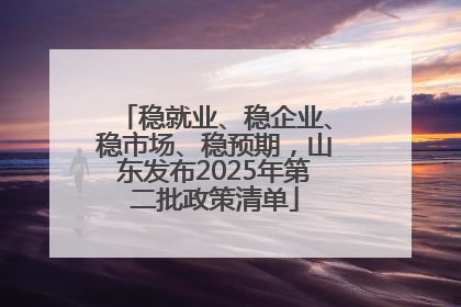 稳就业、稳企业、稳市场、稳预期，山东发布2025年第二批政策清单