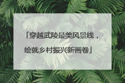 穿越武陵最美风景线，绘就乡村振兴新画卷