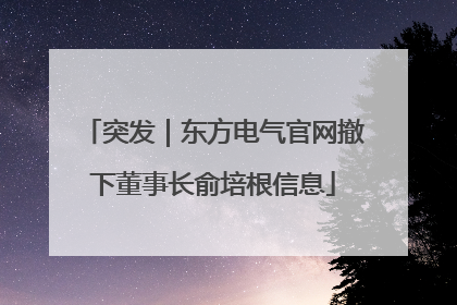 突发｜东方电气官网撤下董事长俞培根信息