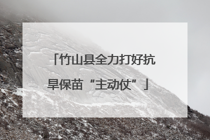 竹山县全力打好抗旱保苗“主动仗”