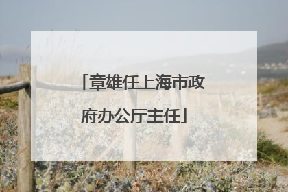 章雄任上海市政府办公厅主任