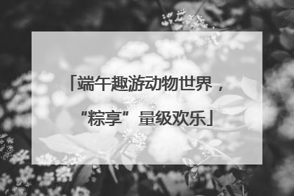 端午趣游动物世界，“粽享”量级欢乐